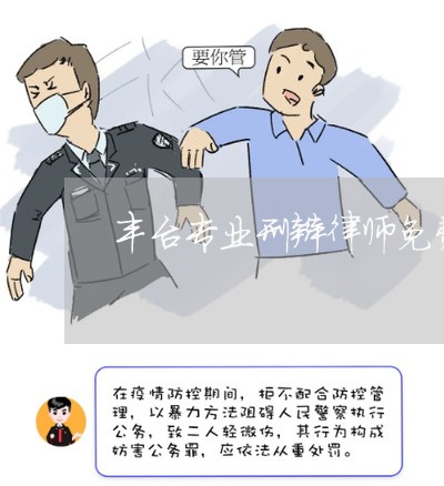 丰台专业刑辩律师免费咨询