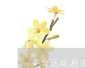 丰台区政府法律名录