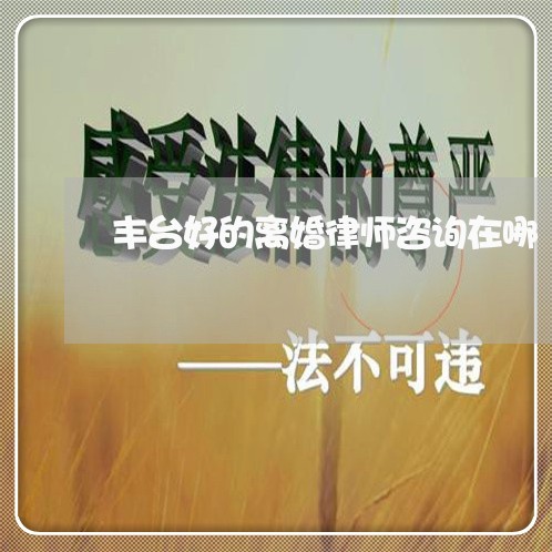 丰台好的离婚律师咨询在哪/2023060961425