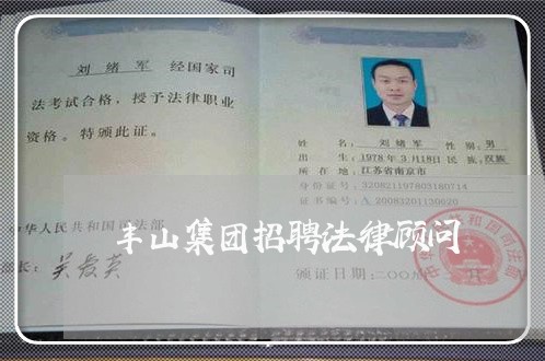 丰山集团招聘法律顾问/2023061827493