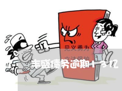 丰盛债务逾期13亿