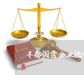 丰都国营企业法律顾问/2023061962603