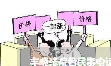 丰顺法院各民事电话号码