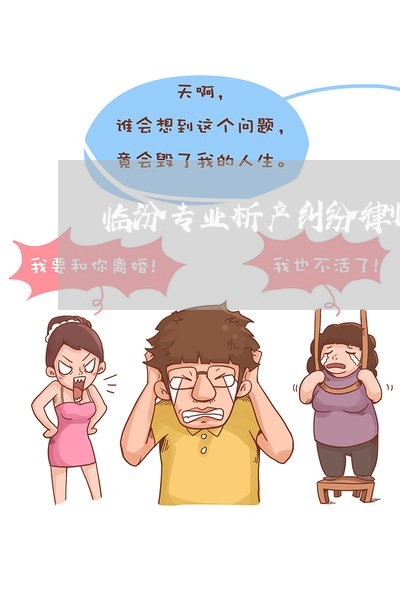 临汾专业析产纠纷律师排名