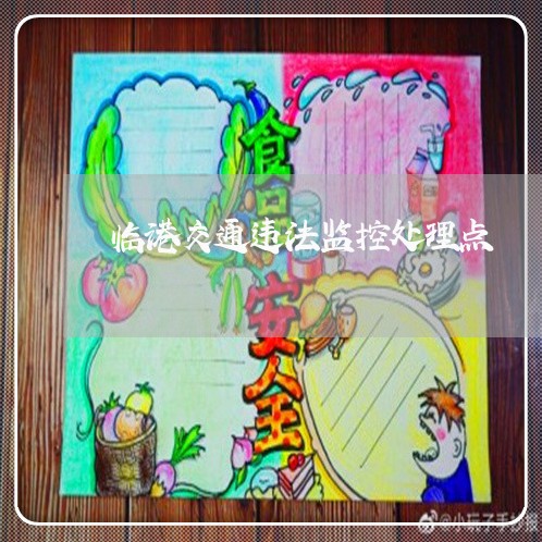 临港交通违法监控处理点 临港交通违法监控处理点