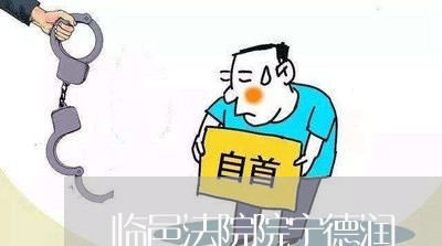 临邑法院院宁德润 临邑法院院宁德润