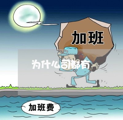 为什么司都有