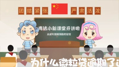 为什么微粒贷逾期了还能贷/2023042218372