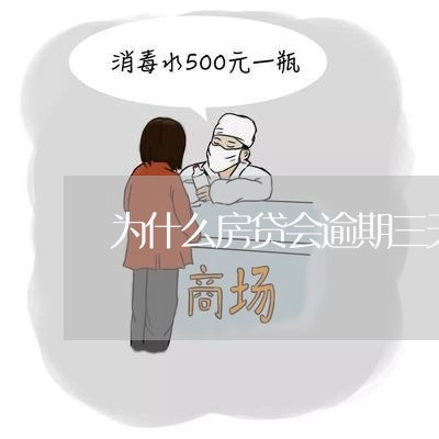 为什么房贷会逾期三天还/2023041843946