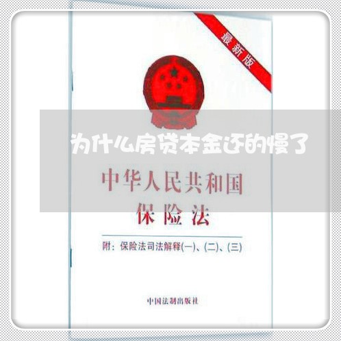 为什么房贷本金还的慢了/2023041884604