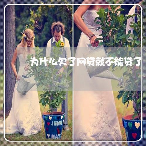 为什么欠了网贷就不能贷了 为什么欠了网贷就不能贷了