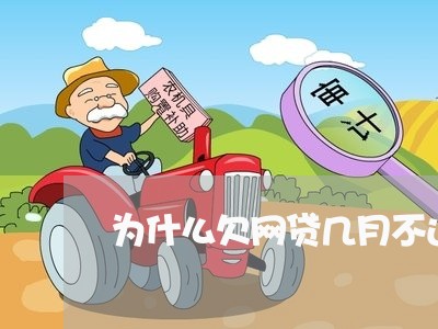 为什么欠网贷几月不还都没事/2023012981926