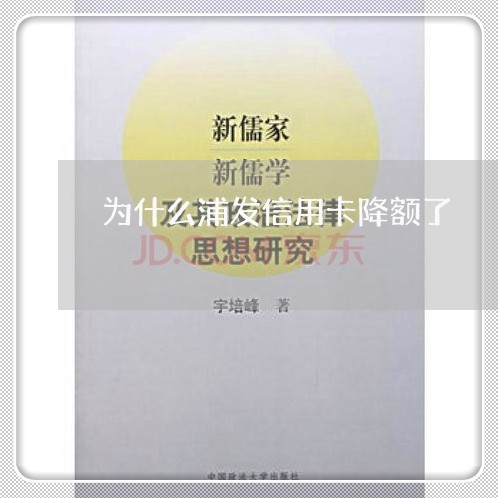 为什么浦发信用卡降额了/2023012540794