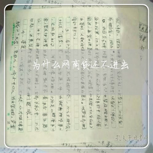 为什么网商贷还不进去/2023120950393