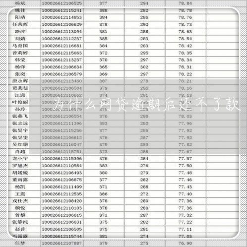 为什么网贷逾期后还不了款/2023120565926