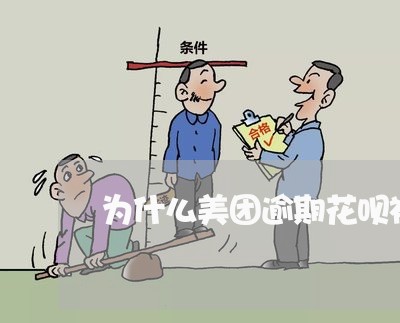 为什么美团逾期花呗被关了/2023042306069