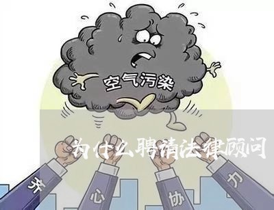 为什么聘请法律顾问/2023061740282