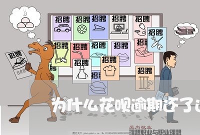 为什么花呗逾期还了还打电话