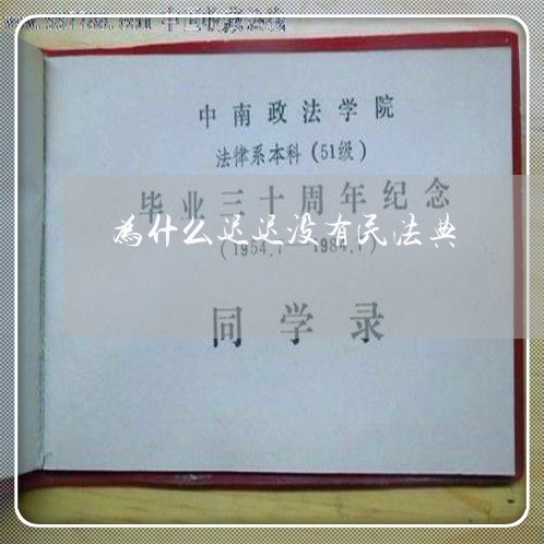 为什么迟迟没有民法典 为什么迟迟没有民法典