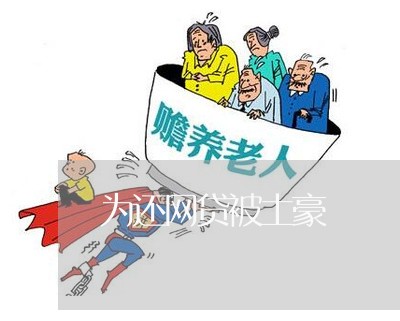 为还网贷被土豪/2023112628192