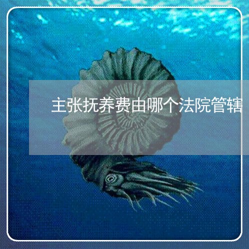 主张抚养费由哪个法院管辖 主张抚养费由哪个法院管辖