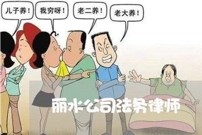 丽水公司法务律师 丽水公司法务律师