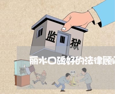 丽水口碑好的法律顾问/2023061816240