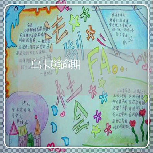 乌卡熊逾期