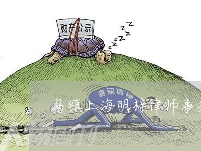 乌镇上海明梓律师事务所/2023041003715