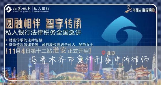 乌鲁木齐市案件刑事申诉律师