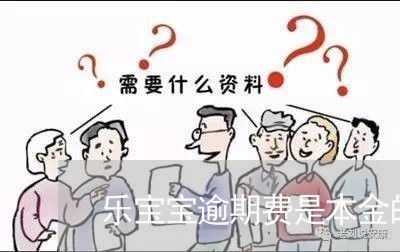 乐宝宝逾期费是本金的一倍 乐宝宝逾期费是本金的一倍