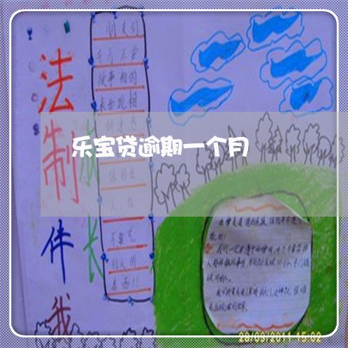 乐宝贷逾期一个月