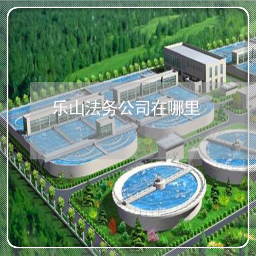 乐山法务公司在哪里