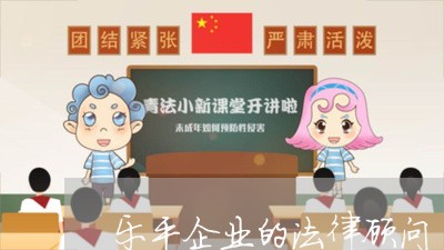 乐平企业的法律顾问