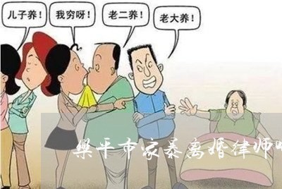 乐平市家暴离婚律师哪个好