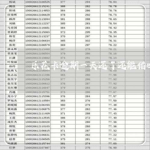 乐花卡逾期一天还了还能借吗