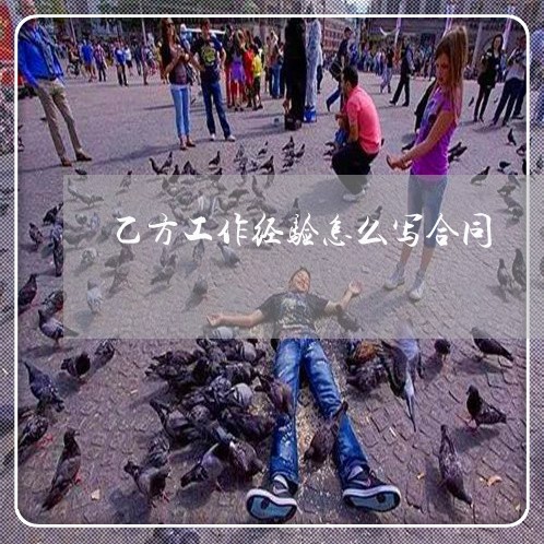 乙方工作经验怎么写合同/2023040275925