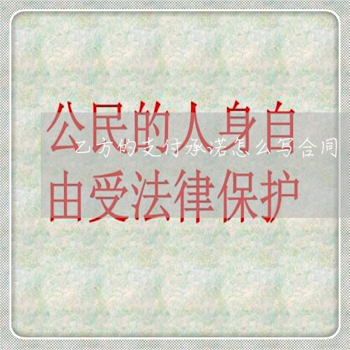 乙方的支付承诺怎么写合同/2023041256492