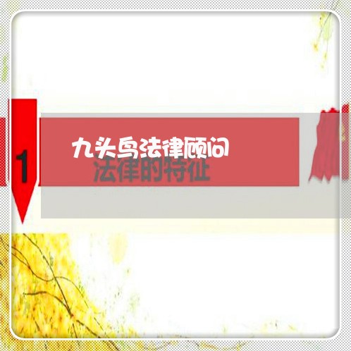 九头鸟法律顾问