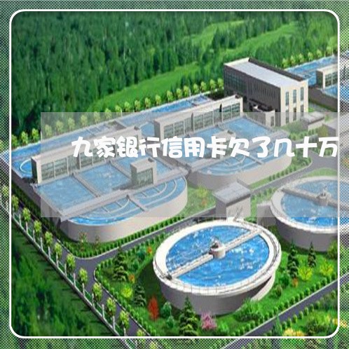 九家银行信用卡欠了几十万 九家银行信用卡欠了几十万
