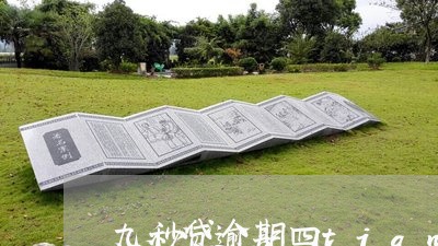 九秒贷逾期四tian
