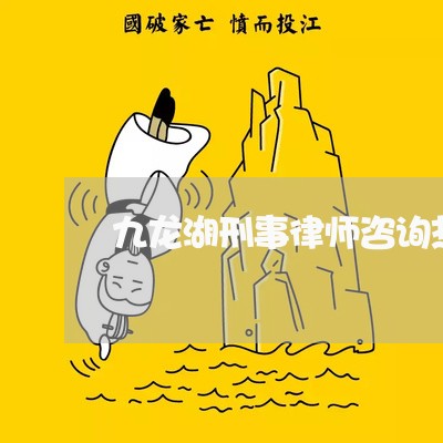 九龙湖刑事律师咨询热线