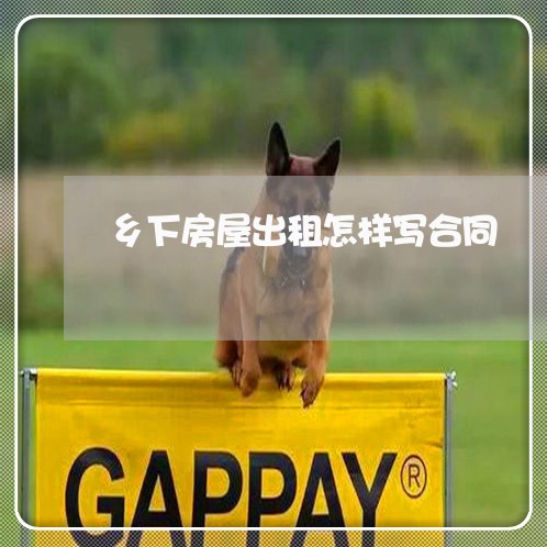 乡下房屋出租怎样写合同/2023060426172 乡下房屋出租怎样写合同/2023060426172