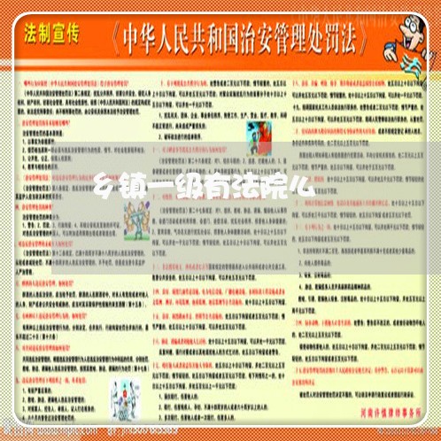 乡镇一级有法院么