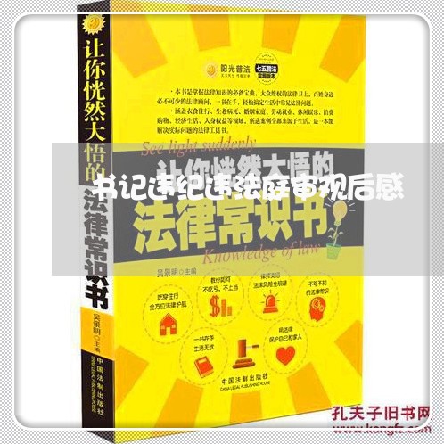 书记违纪违法庭审观后感