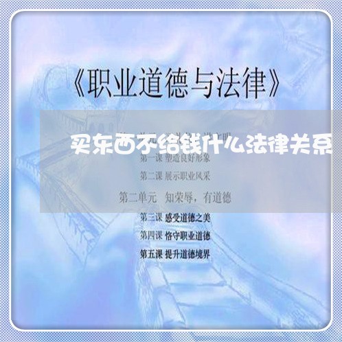 买东西不给钱什么法律关系