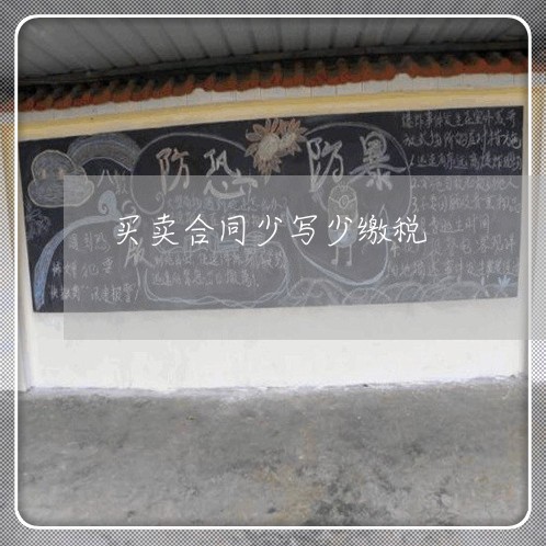 买卖合同少写少缴税/2023022576958 买卖合同少写少缴税/2023022576958