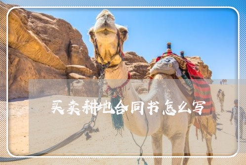 买卖耕地合同书怎么写/2023040351505 买卖耕地合同书怎么写/2023040351505