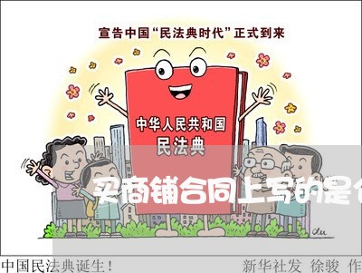 买商铺合同上写的是仓储/2023042167526 买商铺合同上写的是仓储/2023042167526