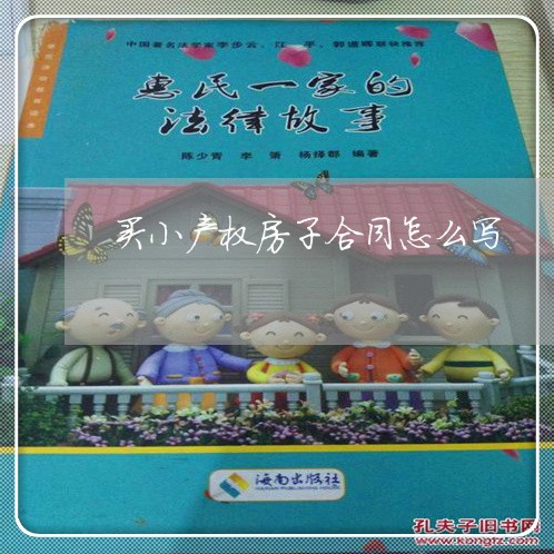 买小产权房子合同怎么写/2023022657259